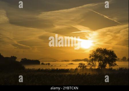 Lever de soleil au-dessus d'une plaine inondable de la rivière Merwede entre Gorinchem et Boven-Hardinxveld Banque D'Images