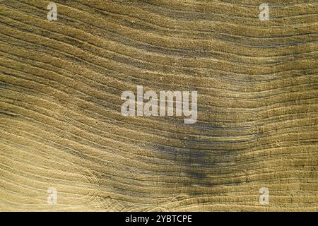 Documentation photographique aérienne de la forme des terres agricoles à la fin de l'été en Toscane Italie Banque D'Images