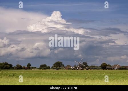 De gros nuages au-dessus d'un pré vert près de la Dutch village Oud-Alblas dans la région Alblasserwaard Banque D'Images