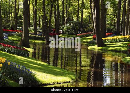 Lisse, pays-Bas, 6 mai 2022 : fleurs de tulipes aux jardins de Keukenhof. Vue panoramique au printemps des tulipes et jacinthes Banque D'Images