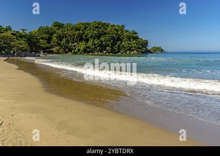 Superbe plage de Castelhanos à Ilhabela entourée de forêt et de mer Banque D'Images