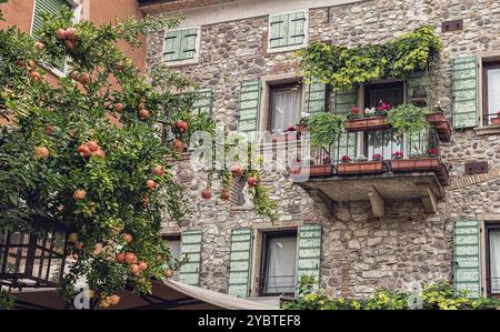 Lazise est une commune médiévale de la province de Vérone, dans la région italienne de Vénétie, située sur la rive est du lac de Garde Banque D'Images