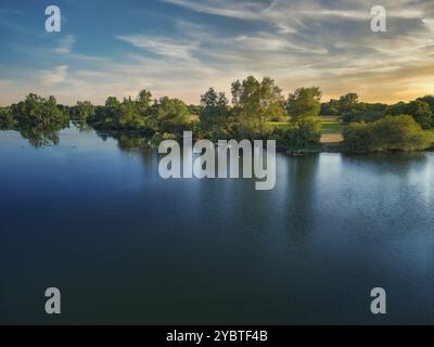 Canards se rassemblant sur le miroir du lac. Soirée sur le lac au soleil couchant Banque D'Images