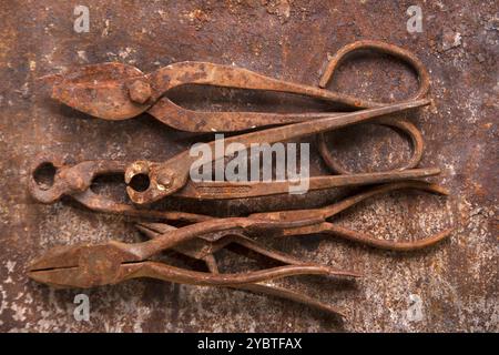 Accessoires anciens utilisés par les artisans au siècle dernier Banque D'Images