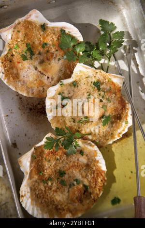 Présentation de pétoncles au gratin gratiné au persil Banque D'Images