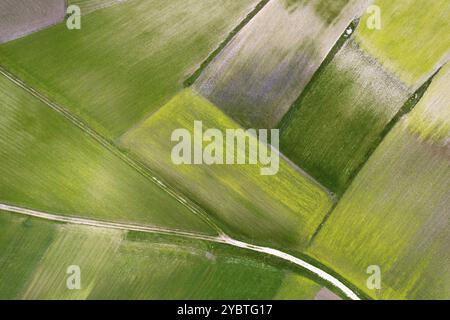 Vue aérienne de la composition géographique des champs cultivés Banque D'Images