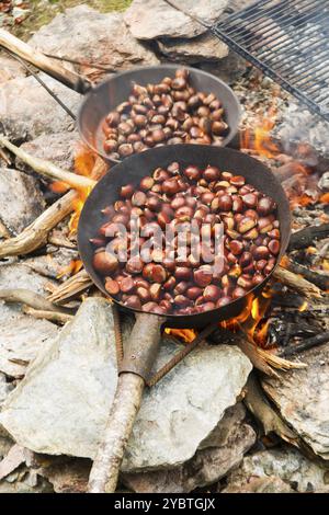 Casseroles avec châtaignier typiques de la chaleur élevée Banque D'Images