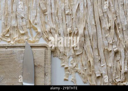 Gros plan sur le processus de fabrication des pâtes maison. Le chef féminin prépare des pâtes italiennes traditionnelles fraîches. Vue de dessus Banque D'Images