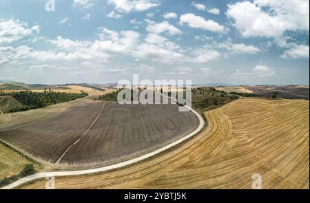 Route bordée de cyprès menant à une ferme. Toscane, Italie, Europe Banque D'Images