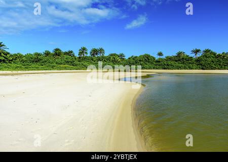 Rivière sortant du milieu de la végétation indigène et allant vers la mer sur le sable à la plage de Sargi à Serra Grande, Bahia Banque D'Images