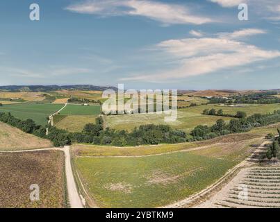 Paysage toscan sur une route de cyprès près de San Quirico d Orcia, Italie, Europe Banque D'Images