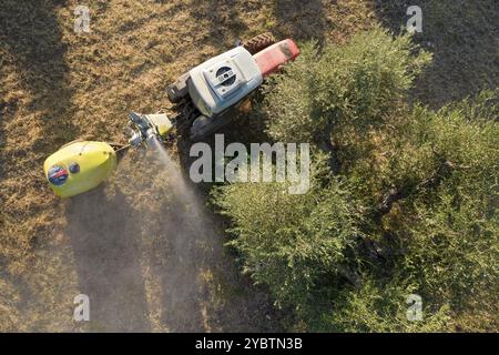 Documentation photographique aérienne de l'époque du traitement des pesticides dans une plantation d'olives Banque D'Images