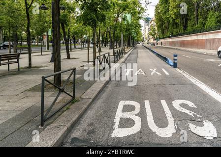 Panneau de bus et de taxi peint sur la rue. Taxi et bus à Castellana Avenue à Madrid Banque D'Images