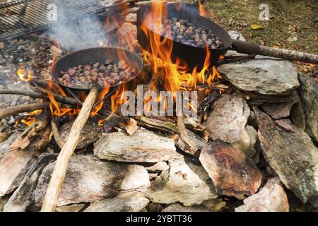 Casseroles avec châtaignier typiques de la chaleur élevée Banque D'Images