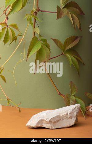 Podium d'automne en pierre et feuilles vertes sur fond vert. Vitrine, présentation du produit. Une scène de marque minimaliste Banque D'Images