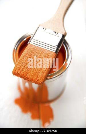 Présentation d'un pinceau avec le correspondant Banque D'Images