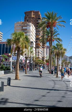 Promenade bordée de palmiers sur la plage de Levante à Benidorm sur la Costa Blanca en Espagne Banque D'Images