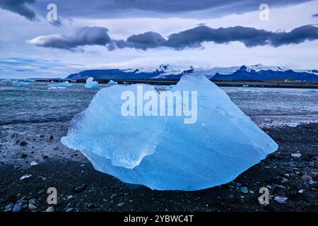 Islande, Austurland, Jökulsárlón, plage de diamants : la plage de diamants, les icebergs de Breiðamerkurjökull éjectés par les vagues Banque D'Images