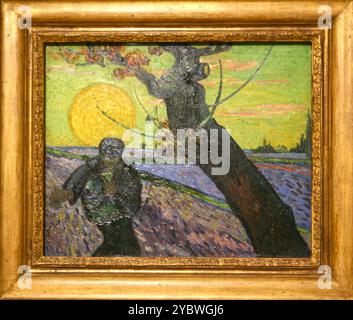 Le semeur 1888 Vincent van Gogh Banque D'Images