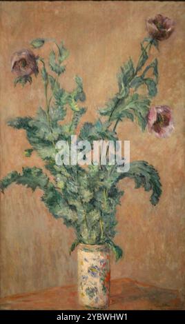 Coquelicots dans un vase 1883 Claude Monet Banque D'Images