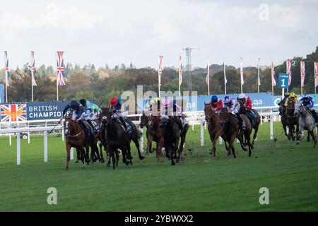 Ascot, Berkshire, Royaume-Uni. 19 octobre 2024. GENRE DE BLUE monté par le jockey James Doyle (casquette rouge) remporte les QIPCO British Champions Sprint Stakes, Groupe 1, British Champions Series, classe 1 à Ascot Racecourse dans le Berkshire lors de la British Champions Day 2024. Propriétaire Wathnan Racing, entraîneur James Fanshawe, Newmarket, éleveur Mr & Mrs P Hopper, commanditaire Damsa Holding Company WLL. Crédit : Maureen McLean/Alamy Live News Banque D'Images