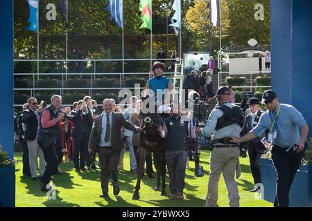 Ascot, Berkshire, Royaume-Uni. 19 octobre 2024. GENRE DE BLEU monté par le jockey James Doyle remporte les QIPCO British Champions Sprint Stakes, Groupe 1, British Champions Series, classe 1 à Ascot Racecourse dans le Berkshire lors de la British Champions Day 2024. Propriétaire Wathnan Racing, entraîneur James Fanshawe, Newmarket, éleveur Mr & Mrs P Hopper, commanditaire Damsa Holding Company WLL. Crédit : Maureen McLean/Alamy Live News Banque D'Images