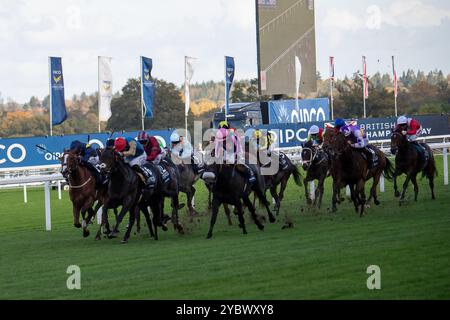 Ascot, Berkshire, Royaume-Uni. 19 octobre 2024. GENRE DE BLUE monté par le jockey James Doyle (casquette rouge) remporte les QIPCO British Champions Sprint Stakes, Groupe 1, British Champions Series, classe 1 à Ascot Racecourse dans le Berkshire lors de la British Champions Day 2024. Propriétaire Wathnan Racing, entraîneur James Fanshawe, Newmarket, éleveur Mr & Mrs P Hopper, commanditaire Damsa Holding Company WLL. Crédit : Maureen McLean/Alamy Live News Banque D'Images