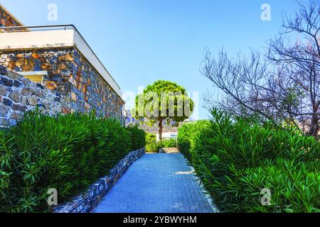 Chemin en pierre entouré de buissons verts et d'un arbre avec des murs en pierre, sous un ciel clair lumineux dans l'hôtel de jardin ensoleillé. Grèce. Crète. Banque D'Images