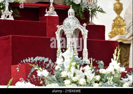 État de la Cité du Vatican, Vatikanstadt. 20 octobre 2024. Le Pape François préside la célébration eucharistique et le rite de canonisation des Bienheureux : Manuel Ruiz López et sept compagnons et François, Mooti et Raffaele Massabki, Giuseppe Allamano, Marie-Léonie Paradis et Elena Guerra. Au Vatican le 20 octobre 2024 crédit : dpa/Alamy Live News Banque D'Images