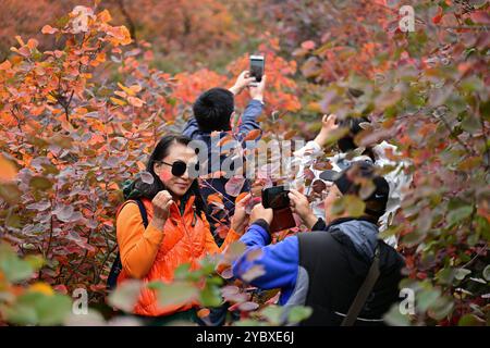 Pékin, Chine. 20 octobre 2024. Les gens posent pour des photos à Pofengling Scenic Area dans le district de Fangshan à Pékin, Oct. 20, 2024. Crédit : Li Xin/Xinhua/Alamy Live News Banque D'Images