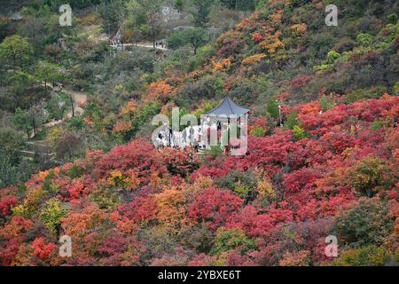 Pékin, Chine. 20 octobre 2024. Les gens apprécient le paysage d'automne à Pofengling Scenic Area dans le district de Fangshan à Pékin, Oct. 20, 2024. Crédit : Li Xin/Xinhua/Alamy Live News Banque D'Images