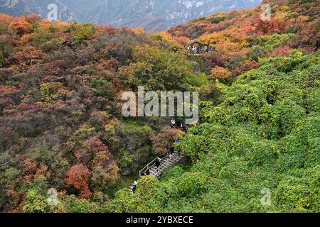 Pékin, Chine. 20 octobre 2024. Les gens apprécient le paysage d'automne à Pofengling Scenic Area dans le district de Fangshan à Pékin, Oct. 20, 2024. Crédit : Li Xin/Xinhua/Alamy Live News Banque D'Images