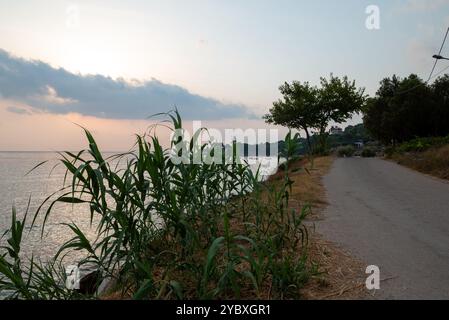 Scène côtière paisible en Grèce au lever du soleil. Les vagues douces rencontrent le rivage, encadrées par de hautes herbes et une route tranquille serpentant à travers le paysage. Banque D'Images