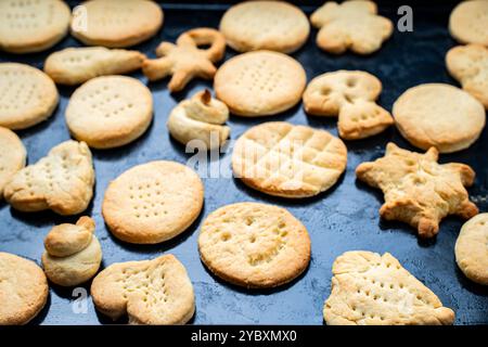 Biscuits faits maison de formes joyeuses faits par un enfant sur la protvina. Un passe-temps familial. Photo de haute qualité Banque D'Images