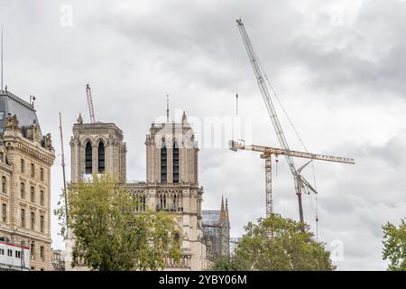 Grandes grues sur le chantier de construction pour la restauration de la cathédrale notre-Dame de Paris, France Banque D'Images