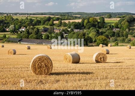 Balles de foin rondes dans un champ de blé récolté avec Bourne Valley derrière, Hurstbourne Tarrant, Hampshire, Angleterre, Royaume-Uni, Europe Banque D'Images