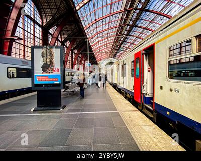 Arrivée en train. Train Intercity régional arrivant à Anvers, Belgique Gare centrale. Antwerpen Treinstation Antwerpen Belgie Copyright : xGuidoxKoppesxPhotox Banque D'Images