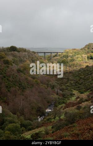 Viaduc de Meldon, Devon, Angleterre Banque D'Images