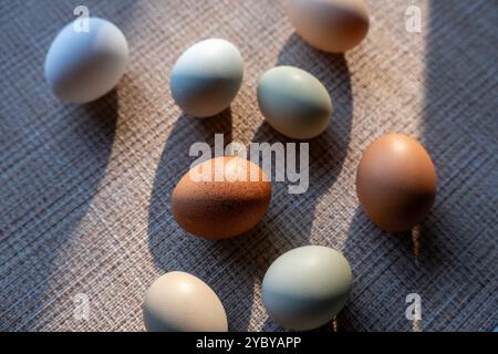 Oeufs de poule frais colorés dans différentes nuances de tons de terre. Marron, vert, bleu, brun, blanc. Faible profondeur de champ avec de fortes ombres. Lumière Moody. Banque D'Images