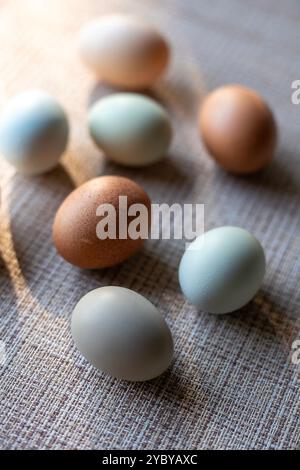 Oeufs de poule frais colorés dans différentes nuances de tons de terre. Marron, vert, bleu, brun, blanc. Faible profondeur de champ avec de fortes ombres. Lumière Moody. Banque D'Images