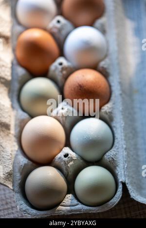 Oeufs de poule frais colorés dans différentes nuances de tons de terre. Marron, vert, bleu, brun, blanc. Faible profondeur de champ avec de fortes ombres. Lumière Moody. Banque D'Images