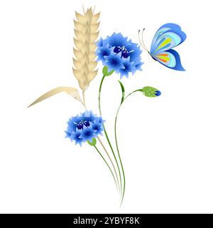Bleuets bleus et épis de blé avec un papillon sur fond blanc. Illustration de Vecteur