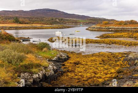 Ulva, Île de Mull, Écosse, 17 octobre 2024. La Communauté a possédé l'île d'Ulva en automne prise du ponton d'Ulva sur l'île de Mull, en Écosse à l Banque D'Images