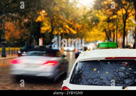 Moody Scenic feu arrière vue sur le pare-brise de voiture blanc moderne couvert de feuilles jaunes dorées tombées garées rue humide de ville automne jour pluvieux. Couvert Banque D'Images