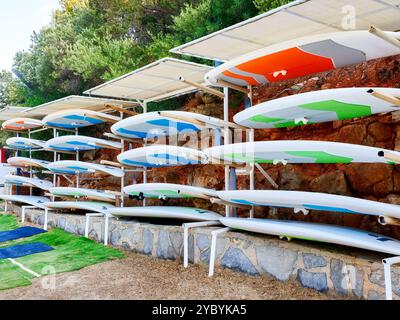 De nombreuses planches de surf colorées sont soigneusement empilées sur un support métallique sous un auvent, prêtes pour les véliplanchistes à utiliser sur l'eau Banque D'Images
