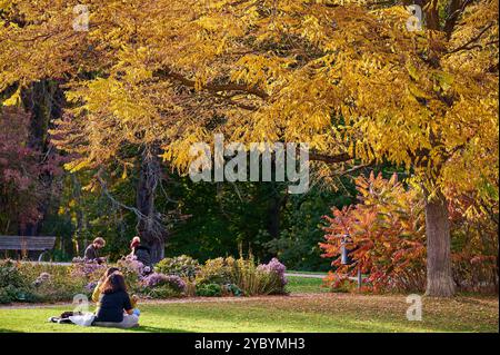 Besucher an einem warmen Herbsttag im Treptower Park à Berlin. / Visiteurs par une chaude journée d'automne dans Treptower Park à Berlin. Photographie instantanée/F. Boillot *** visiteurs par une chaude journée d'automne dans le parc Treptower à Berlin visiteurs par une chaude journée d'automne dans le parc Treptower à Berlin photographie F Boillot Banque D'Images