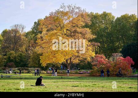 Besucher an einem warmen Herbsttag im Treptower Park à Berlin. / Visiteurs par une chaude journée d'automne dans Treptower Park à Berlin. Photographie instantanée/F. Boillot *** visiteurs par une chaude journée d'automne dans le parc Treptower à Berlin visiteurs par une chaude journée d'automne dans le parc Treptower à Berlin photographie F Boillot Banque D'Images