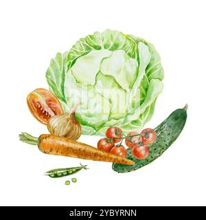 Aquarelle de légumes. Chou, tomate, carotte, concombre, oignon, pois. Illustration isolée. Cartes, étiquettes, invitations pour la récolte, Journée végétarienne. Banque D'Images