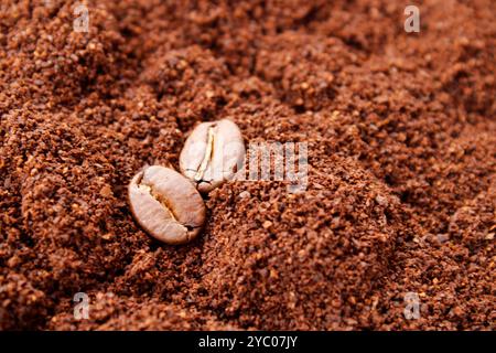Deux grains de café sur fond de café moulu Banque D'Images
