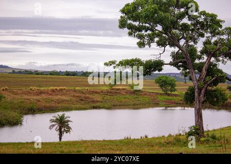 Anicuns, Goias, Brésil – 20 octobre 2024 : un paysage sur les rives de la GO-326 à Anicuns, avec un petit lac et quelques arbres autour par temps nuageux. Banque D'Images